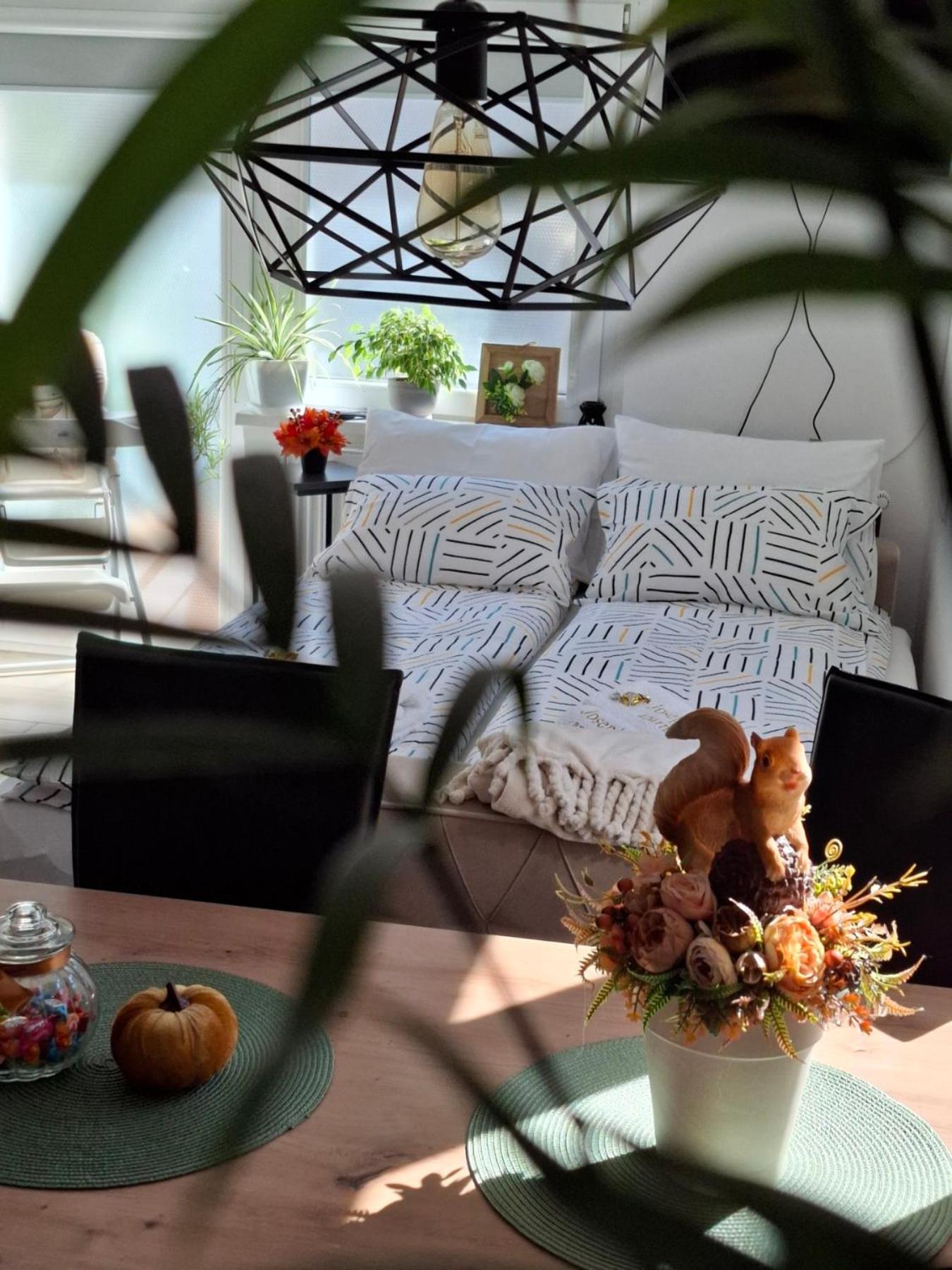 Josephine Apartment 苏博蒂察 外观 照片